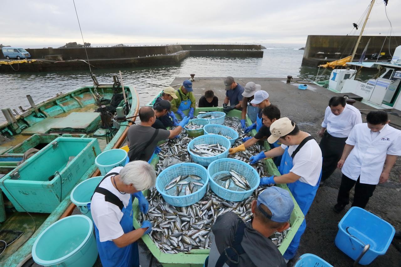 Hanashibuki Tateyama  Bagian luar foto
